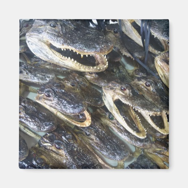 Gator Head Magnet (Front)