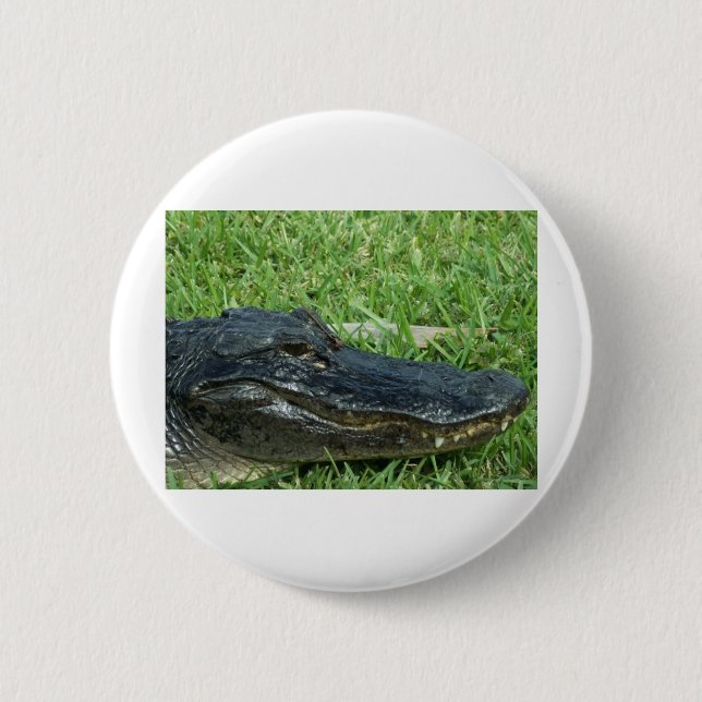Gator in grass 6 cm round badge (Front)