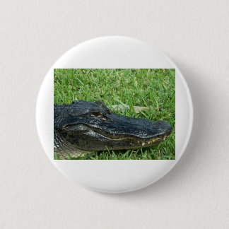 Gator in grass 6 cm round badge