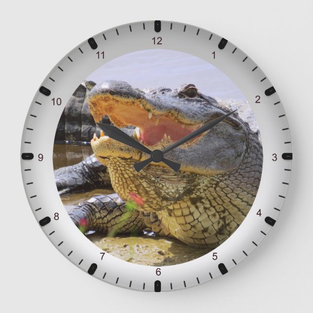gator large clock (Front)