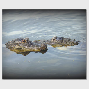 Gator Love Wrapping Paper