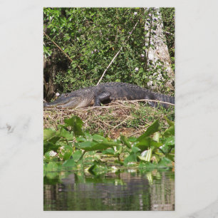 Gator luv zoom pic