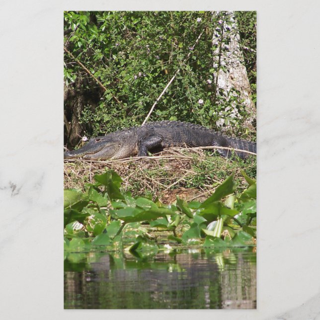 Gator luv zoom pic (Front)
