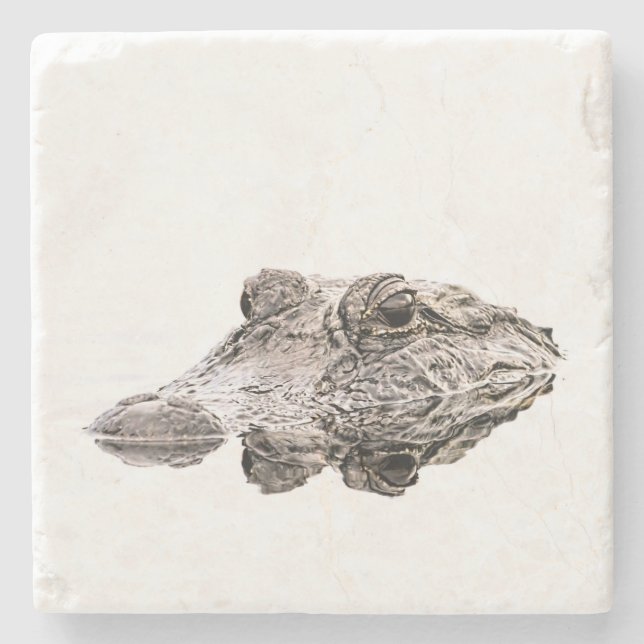 Gator Stone Coasters (Front)