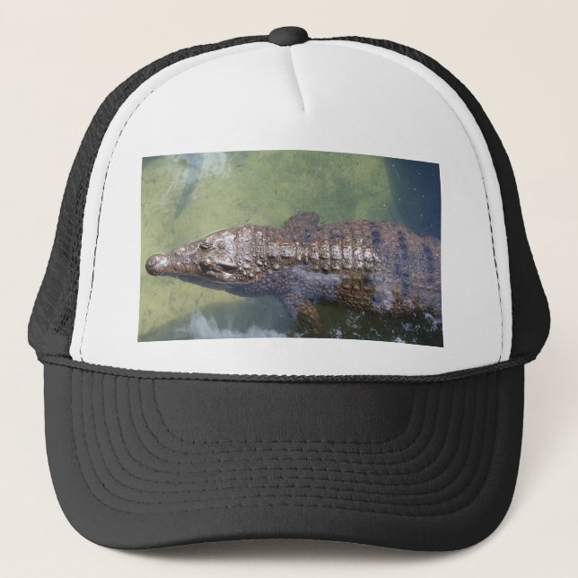 gator swimming trucker hat (Front)