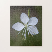 Gaura lindheimeri - Whirling Butterflies