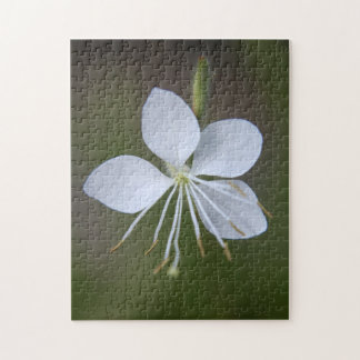 Gaura lindheimeri - Whirling Butterflies Jigsaw Puzzle