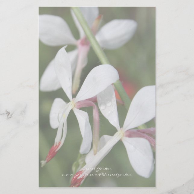 Gaura - Personalised Stationery (Front)