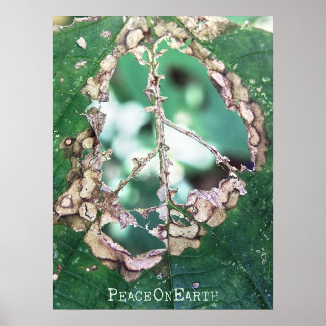 gave peace poster (Front)