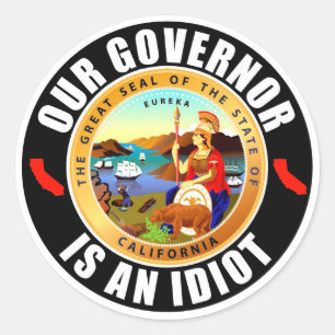 Gavin Newsom is an idiot Classic Round Sticker