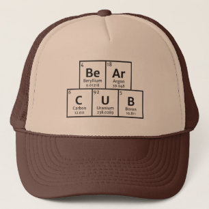 Gay Bear Cub Elements Hat