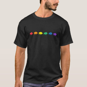 Gay Pride Buffalo NY Pride Week Rainbow Colours LG T-Shirt