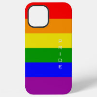 Gay Pride Colours Rainbow Flag Pride