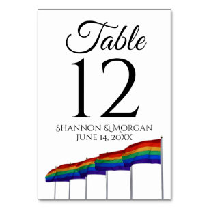 Gay Pride Festive Rainbow Flags Wedding Table Number