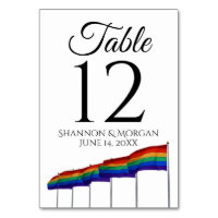 Gay Pride Festive Rainbow Flags Wedding