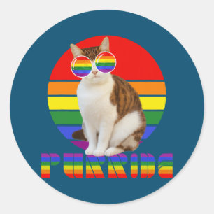 Gay Pride for Women Men LGBT Daddy Cat Cat lovers Classic Round Sticker