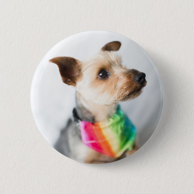 Gay Pride Rainbow Dog | Yorkshire Terrier 6 Cm Round Badge (Front)