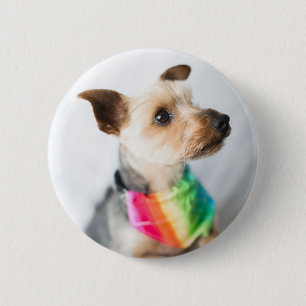 Gay Pride Rainbow Dog Yorkshire Terrier 6 Cm Round Badge