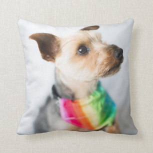 Gay Pride Rainbow Dog   Yorkshire Terrier Cushion