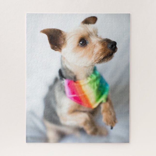 Gay Pride Rainbow Dog | Yorkshire Terrier Jigsaw Puzzle (Vertical)