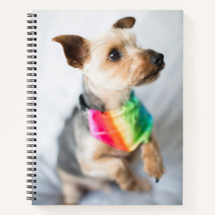 Gay Pride Rainbow Dog Yorkshire Terrier Notebook