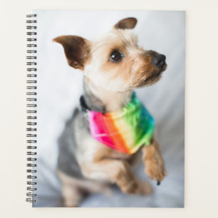 Gay Pride Rainbow Dog Yorkshire Terrier Planner