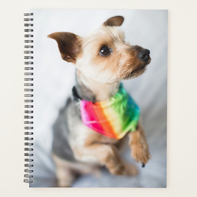 Gay Pride Rainbow Dog | Yorkshire Terrier Planner (Front)