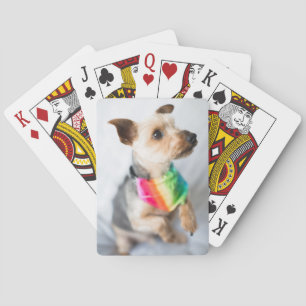 Gay Pride Rainbow Dog Yorkshire Terrier Playing Cards