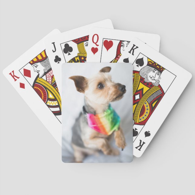 Gay Pride Rainbow Dog | Yorkshire Terrier Playing Cards (Back)
