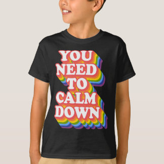 Gay Pride Rainbow Equality You Need To Calm Down  T-Shirt