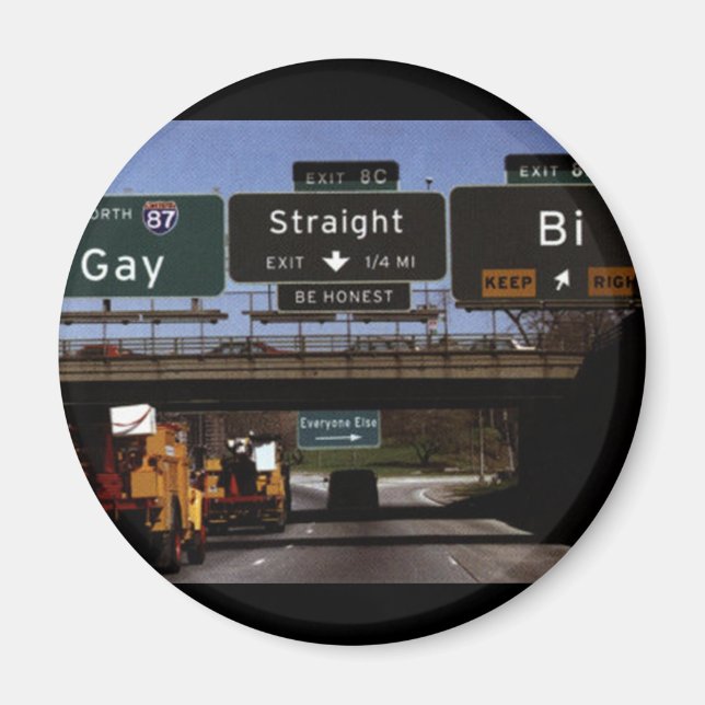 Gay/Straight/Bi Road Signs Magnet (Front)