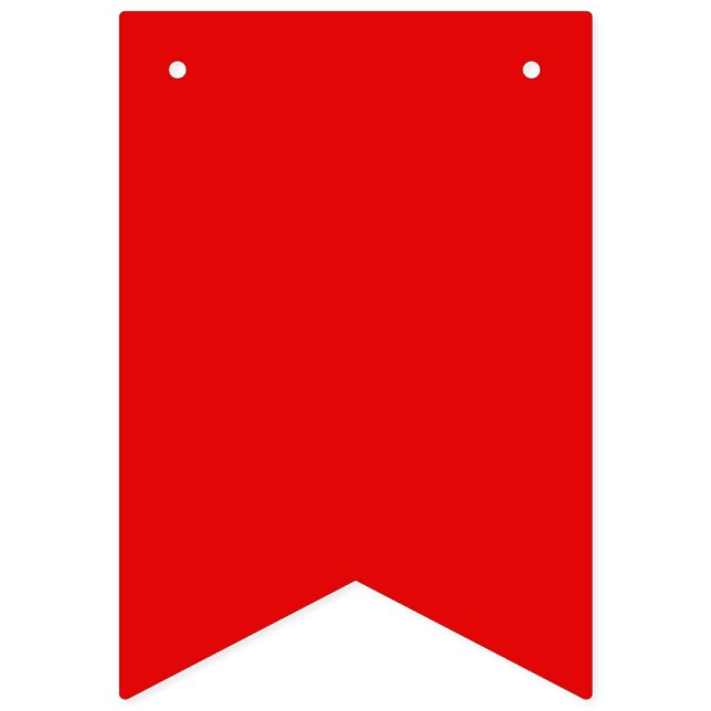 Gay & Trans Pride Pennant Bunting Banner (Sixteenth Flag)