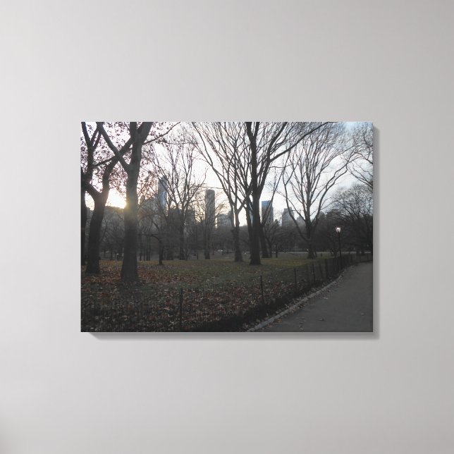 “Gaye Elise Beda”, “New York City, NYC” Canvas Print (Front)
