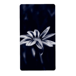 GAZANIA