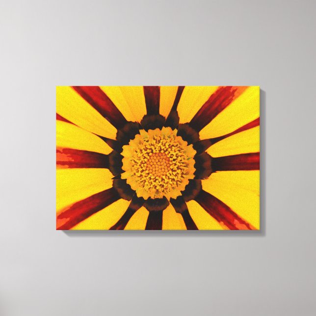Gazania Canvas Print (Front)
