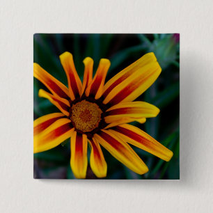 Gazania flower 15 cm square badge