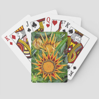 Gazania Flower Playing Cards
