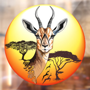 Gazelle African Antelope Wild  Animal