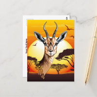 Gazelle African Antelope Wild Animal