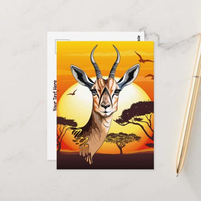 Gazelle African Antelope Wild  Animal Postcard (Front/Back In Situ)