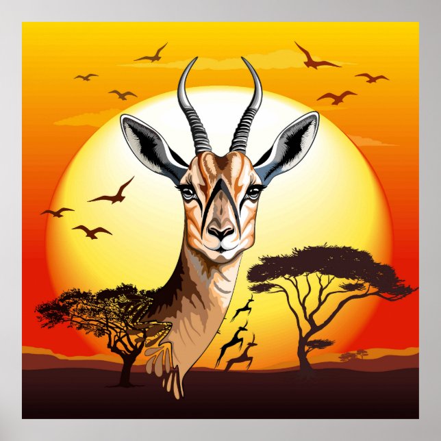Gazelle African Antelope Wild  Animal Poster (Front)