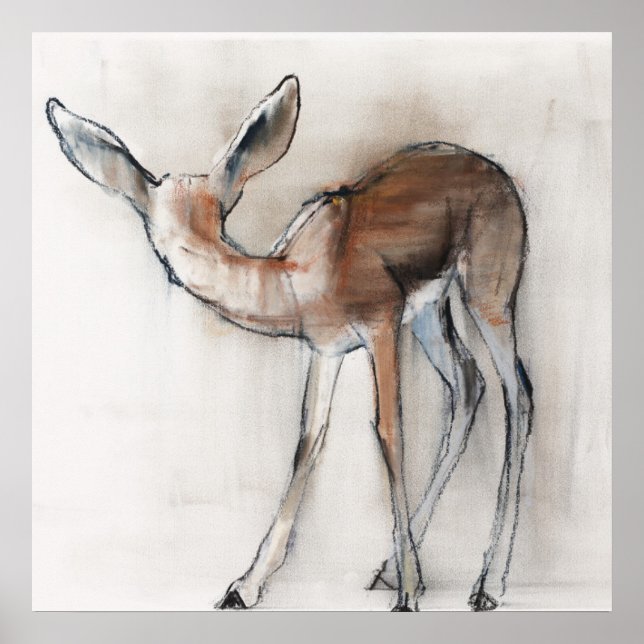Gazelle Fawn Poster (Front)