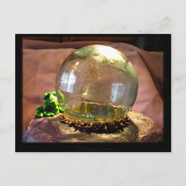 Gazer Postcard (Front)