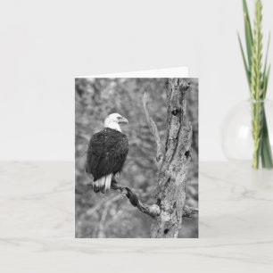 Gazing Eagle B&W Note Card