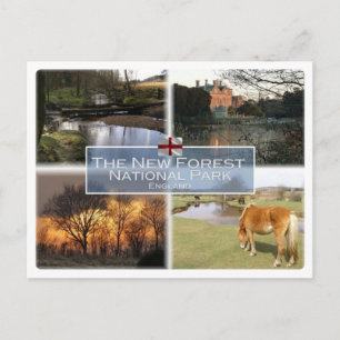 GB United Kingdom - England - New Forest N.P. - Postcard
