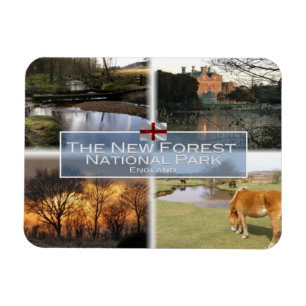 GB United Kingdom - England - The New Forest N.P - Magnet