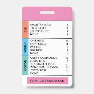 GCS/Consciousness Cheat Sheet for Badge Reel ID Badge