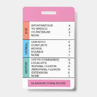 GCS/Consciousness Cheat Sheet for Badge Reel ID Badge