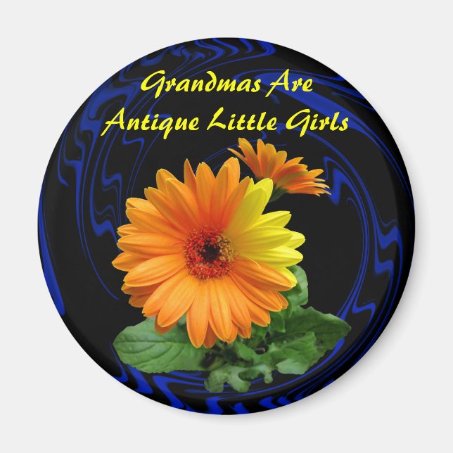 GEBER DAISY -MAGNET MAGNET (Front)