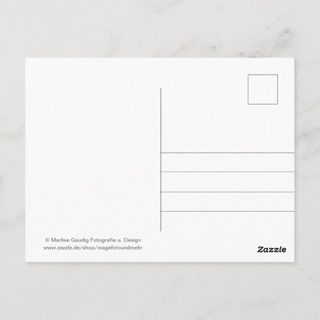 Geburtstags Schneckenpost Postcard (Back)